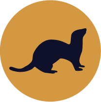 Tuhkur